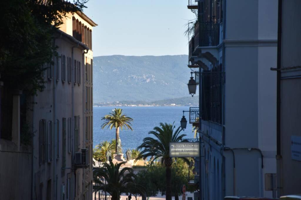 Appartement Plein De Charme - Ajaccio Hyper Centre Εξωτερικό φωτογραφία