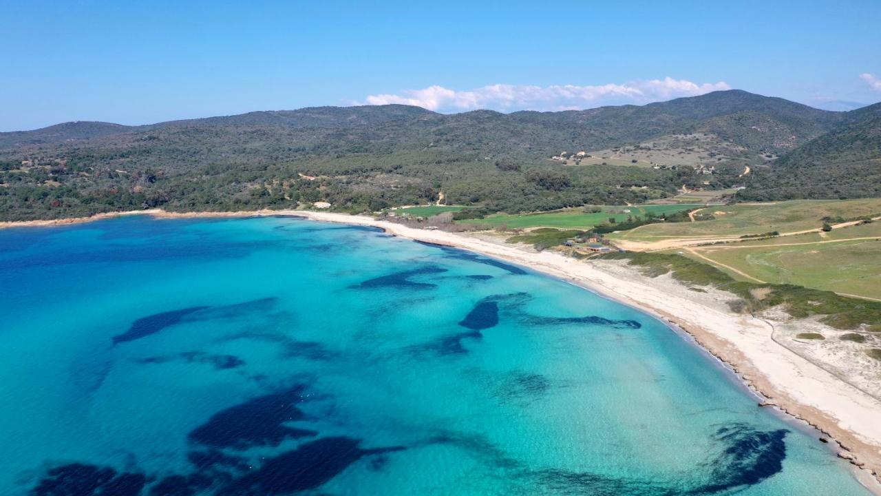 Appartement Plein De Charme - Ajaccio Hyper Centre Εξωτερικό φωτογραφία